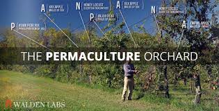 Acre Permaculture Orchard