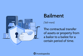 bailment definition how it works