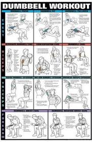 Dumbbell Workout Charts