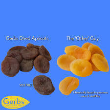 health benefits of gerbs dried apricots