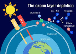 ozone layer depletion causes and