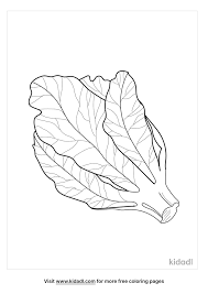 A pop of color will bring this printable lettuce are property and copyright of their owners. Lettuce Coloring Pages Free Food Coloring Pages Kidadl