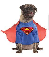 Synthesis on X: Lmao I Googled superman doggy from love island to see what  it was and this is what popped up Ahaha! t.co23CaqGG58h  X