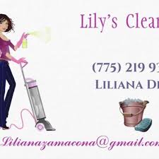 lilys cleaning reno nevada home