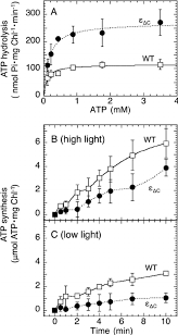 Light Saturation Curves Of The Photosynthetic Electron
