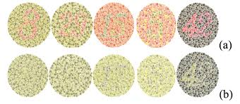 Ishihara Color Test Plates 2 3 6 And Plate 10 Is Shown