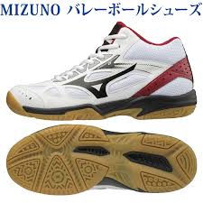 A Lucky Seal Supports Mizuno Cyclone Speed 2 Mid V1gc198509 Ladys 2018aw Volleyball 2018 New Product 2018 In The Fall And Winter