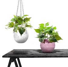 Hanging Planters For Indoor Plants