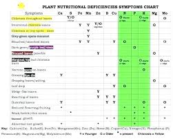Vitamin And Mineral Deficiency Chart You Need To Know In