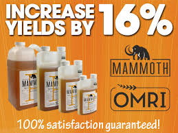 Want To Increase Yields By 16 Mammoth P Is In Stock Now