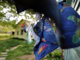 clothes in the wind the fight to save