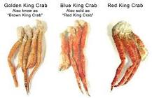 which-king-crab-is-the-best