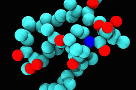 Rapamycin turns the TOR signaling pathway Regulates Basic cellular Activities  