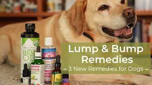 dog lump and p home remes you