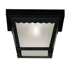 1 Light Outdoor Ceiling Light In Black
