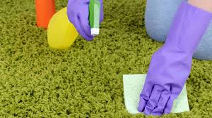 carpet cleaning hobart