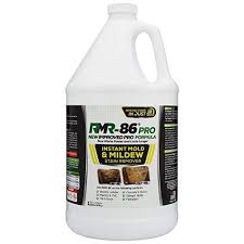 rmr pro instant mold and mildew stain