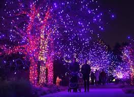 Denver botanic gardens features north america's largest collection of plants from cold temperature climates around the world. Parade Of Lights Zoo Lights Denver Christmas Lights Holiday Displays