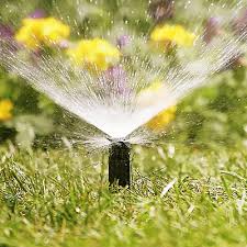 The best place to start irrigating your garden is with a pen and paper. Best Irrigation Pumps For Your Yard The Home Depot
