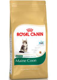 royal canin fbn kitten maine 36