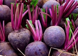 Beets Planting Growing And Harvesting Beets The Old