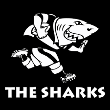 sharks rugby logo png vector eps svg