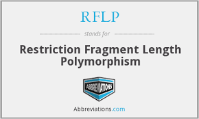 Restriction fragment length polymorphism (rflp). Rflp Restriction Fragment Length Polymorphism