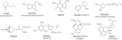 amine reactivity