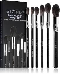 sigma beauty soft blend brush set