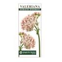 Risultati immagini per Achillea Estratto Integrale dr giorgini