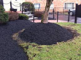 bad mulch and poor use dead plants