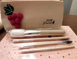 brushes free cosmetic bag