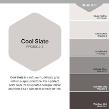 Cool Slate Semi Gloss Interior Paint