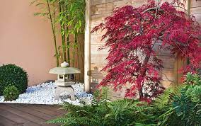 Small Garden Landscaping Ideas With
