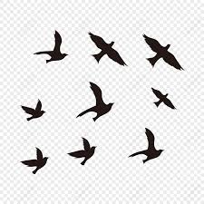 black flying bird png images with