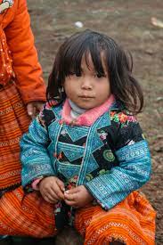 They have been members of the unrepresented nations and peoples organization (unpo) since 2007. The History Of Vietnam S Hmong Community