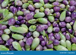 小茄子库存图片. 图片包括有五颜六色, 营养, 饮食, 批次, 紫罗兰色, 蔬菜, 绿色, 紫色, 大胆- 40072901