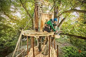 construis ta cabane dans les arbres