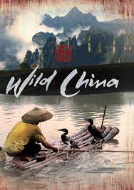Cina wild