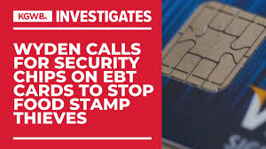 ebt card fraud makes smart chips