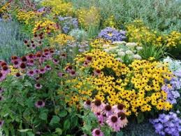 perennial garden design tips for
