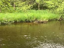 Tactics For Fly Fishing In High Water Pere Marquette River