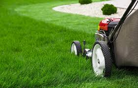 Lawn Care Services In Bakersfield Ca