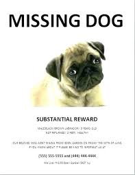 Missing Pet Template Lost Poster Template Lost Pet Flyers