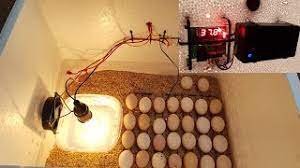 how to make a hatching egg incubator at