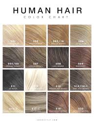 Hairstyles Brunette Hair Color Charts Wonderful Medium Ash