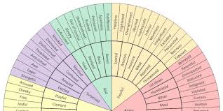 Using A Wheel Of Emotions To Help Identify What Youre