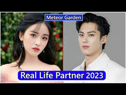 shen yue and dylan meteor garden