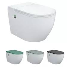 Wall Mounted Toilet Cistern