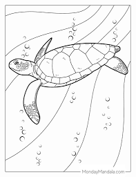 36 turtle coloring pages free pdf